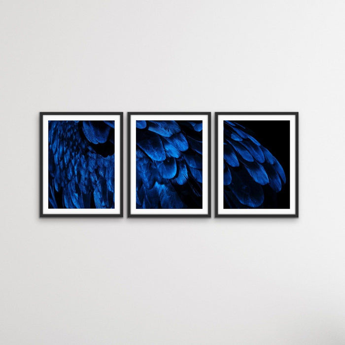 Birds Of A Feather - Three Piece Blue Feather Photographic Art Print  Set, Wall Art, Ozark Home 