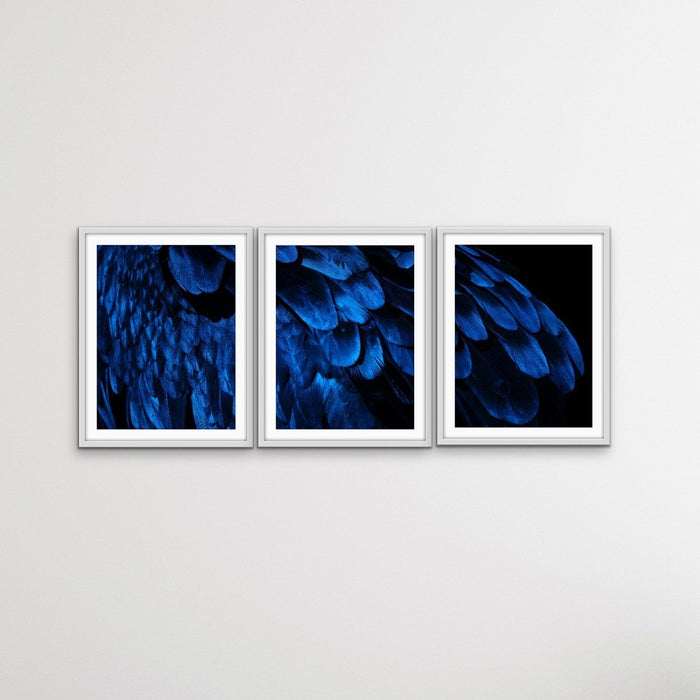 Birds Of A Feather - Three Piece Blue Feather Photographic Art Print  Set, Wall Art, Ozark Home 