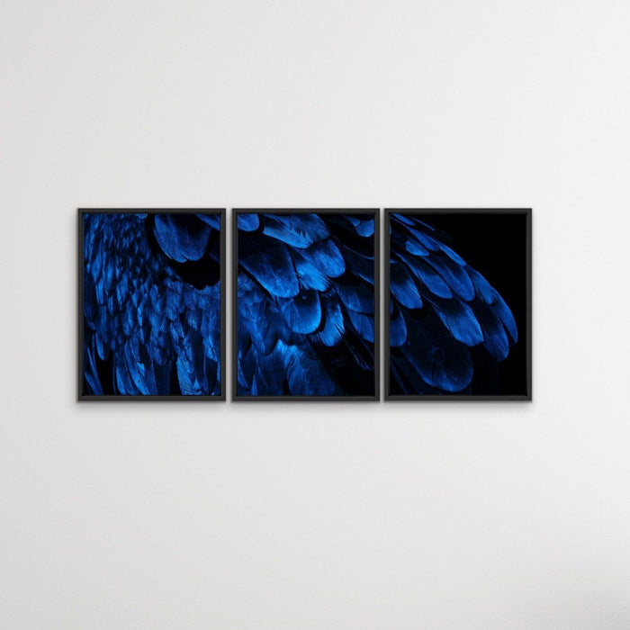 Birds Of A Feather - Three Piece Blue Feather Photographic Art Print  Set, Wall Art, Ozark Home 