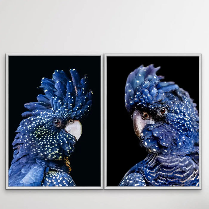 Black Cockatoo On Black - Two Piece Black Cockatoo Stretched Canvas Framed Wall Art, Wall Art, Ozark Home 