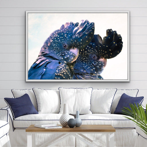 Black Cockatoo Pair - Framed Canvas Print Wall Art Print Red-Tailed Black Cockatoos, Wall Art, Ozark Home 