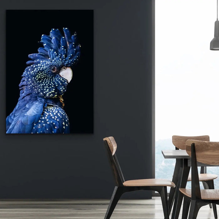 Black Cockatoo on Black - Black Cockatoo Wall Art Print Stretched Canvas Wall Art