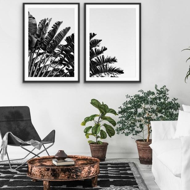 Black and White Banana Palm - Two Piece Boho Banana Palm Print Set, Wall Art, Ozark Home 