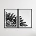 Black and White Banana Palm - Two Piece Boho Banana Palm Print Set, Wall Art, Ozark Home 