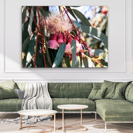 Blossom Days - Australian Nature Eucalyptus Flower Gum Tree Print, Wall Art, Ozark Home 