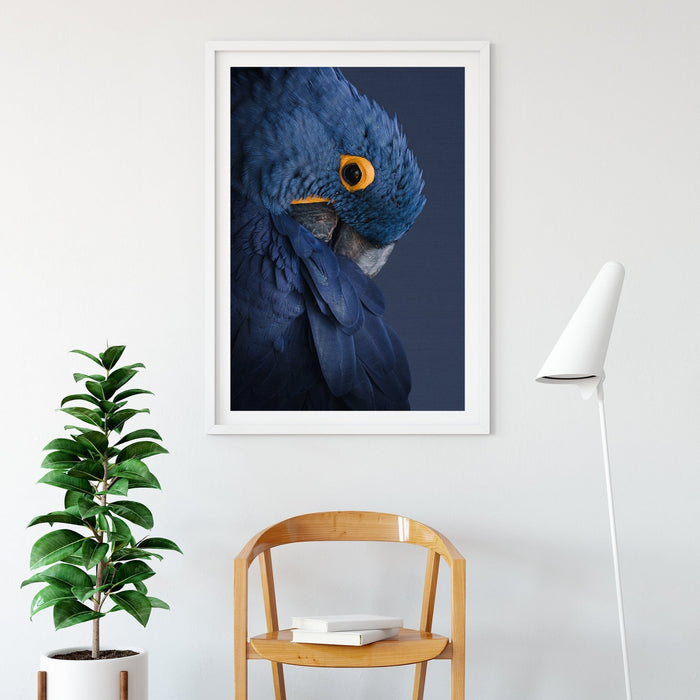 Blue Parrot - Art Print Stretched Canvas Wall Art