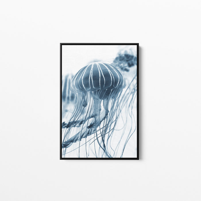 Bluebottle -  Stretched Canvas Wall Art Print Bluebottle Jellyfish, Wall Art, Ozark Home 