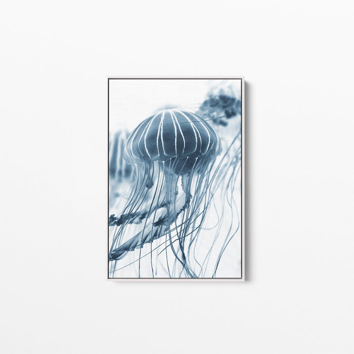 Bluebottle -  Stretched Canvas Wall Art Print Bluebottle Jellyfish, Wall Art, Ozark Home 