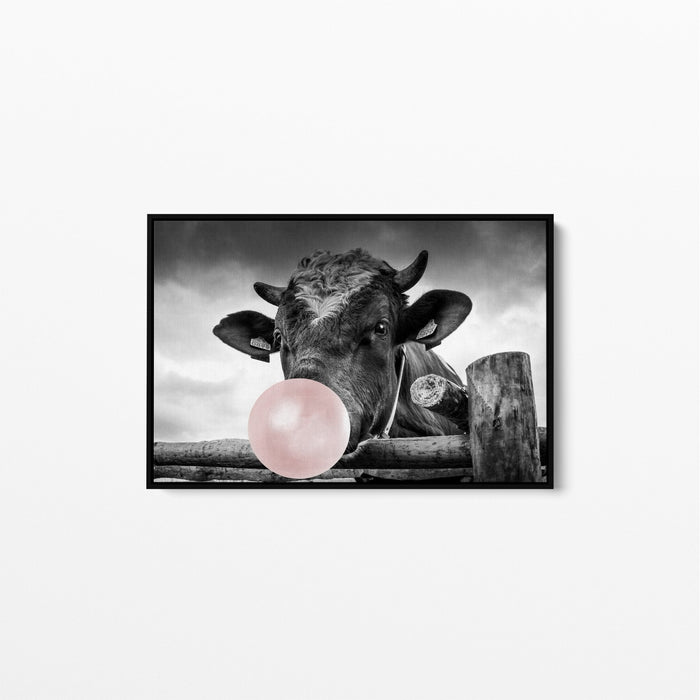 Bubblegum Cow-  Stretched Canvas Wall Art Print  Black And White, Wall Art, Ozark Home 