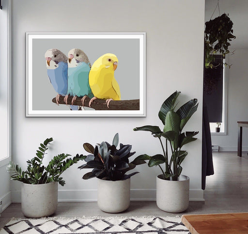 Budgies - Budgerigar and Canary Bright Contemporary Bird Print, Wall Art, Ozark Home 