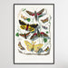 Butterfly & Moth painting by Paul Gervais, Wall Art, Ozark Home 