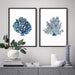 Hamptons Watercolour Blue Coral II - Art Print, Wall Art, Ozark Home 