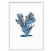 Hamptons Watercolour Blue Coral IV - Art Print, Wall Art, Ozark Home 