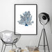 Hamptons Watercolour Blue Coral V - Art Print, Wall Art, Ozark Home 