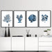 Hamptons Watercolour Blue Coral V - Art Print, Wall Art, Ozark Home 