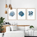 Hamptons Watercolour Blue Coral VI - Art Print, Wall Art, Ozark Home 