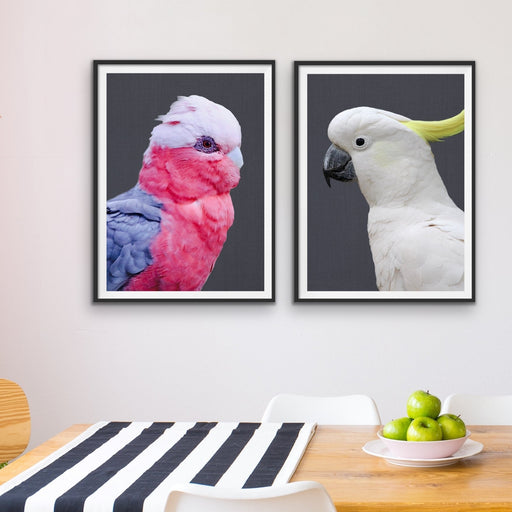 Cockatoo Stand Off - Two Piece Stretched Canvas Framed Wall Art, Wall Art, Ozark Home 