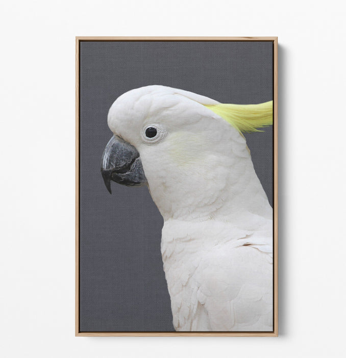 Cockatoo Stand Off - Two Piece Stretched Canvas Framed Wall Art, Wall Art, Ozark Home 