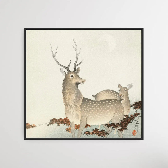 Couple of Deers by Ohara Koson - Square Art Print