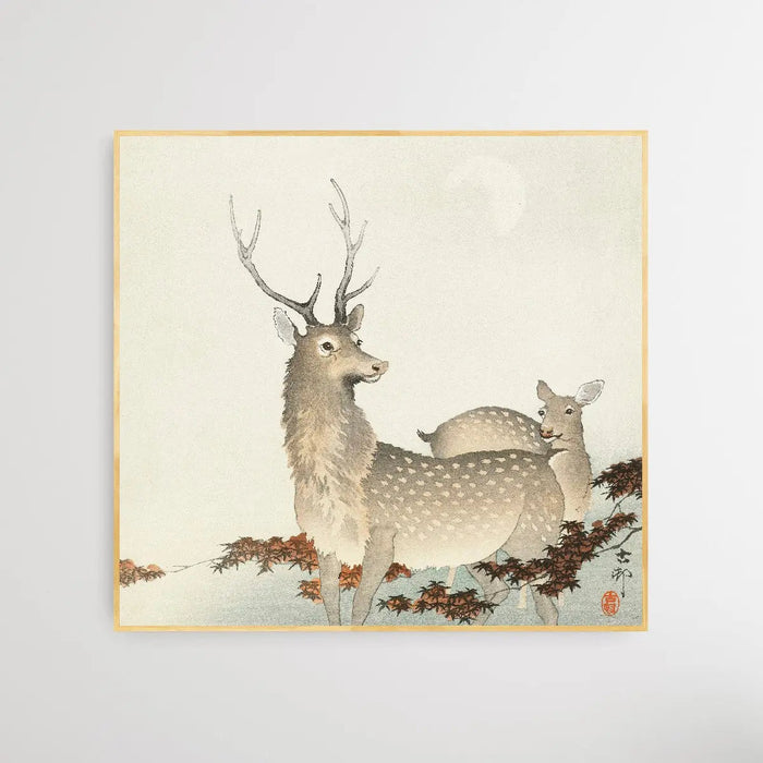 Couple of Deers by Ohara Koson - Square Art Print