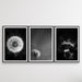 Dandelions - Three Piece Black and White Dandelions Art Print Set, Wall Art, Ozark Home 