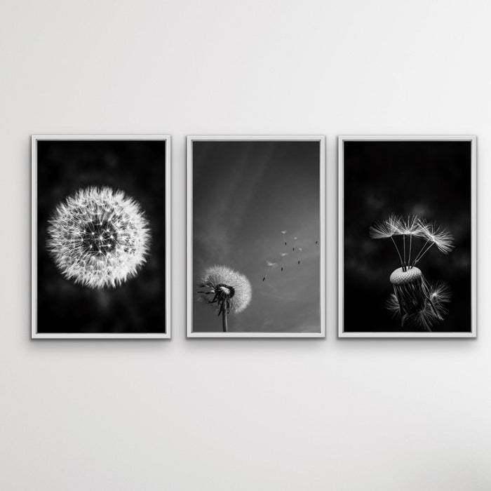 Dandelions - Three Piece Black and White Dandelions Art Print Set, Wall Art, Ozark Home 