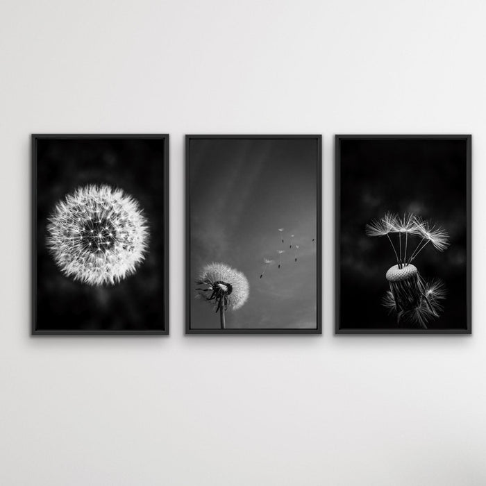 Dandelions - Three Piece Black and White Dandelions Art Print Set, Wall Art, Ozark Home 