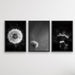 Dandelions - Three Piece Black and White Dandelions Art Print Set, Wall Art, Ozark Home 