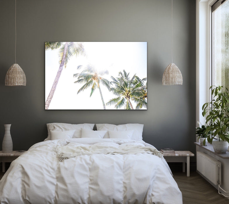 Daydream Island - Boho Palm Tropical Wall Art or Canvas Print