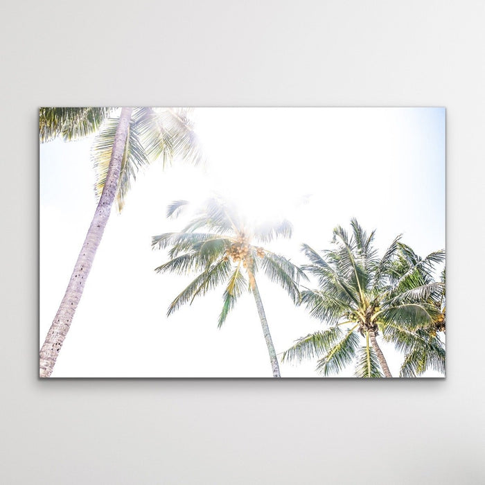 Daydream Island - Boho Palm Tropical Wall Art or Canvas Print