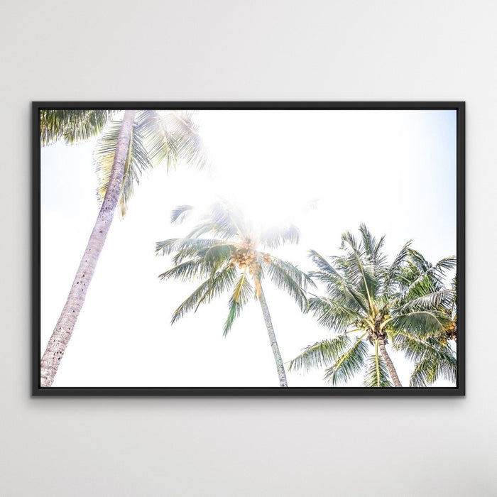 Daydream Island - Boho Palm Tropical Wall Art or Canvas Print