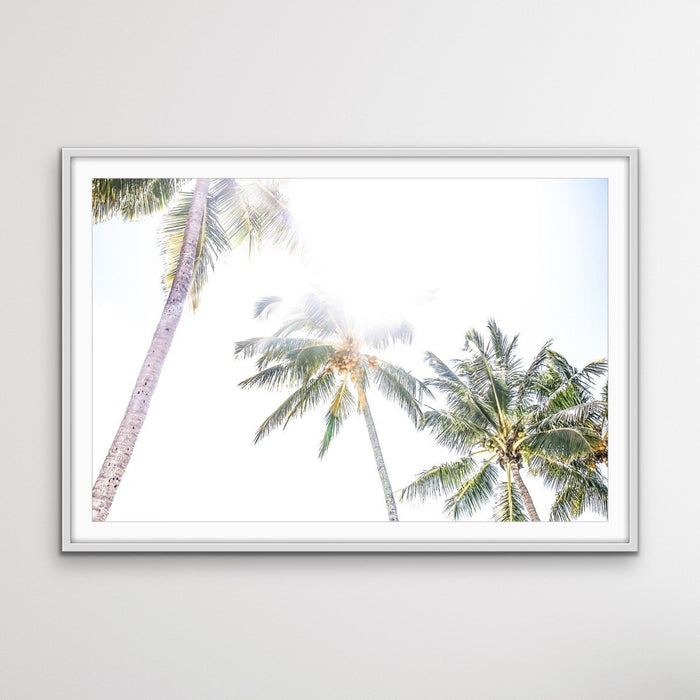 Daydream Island - Boho Palm Tropical Wall Art or Canvas Print