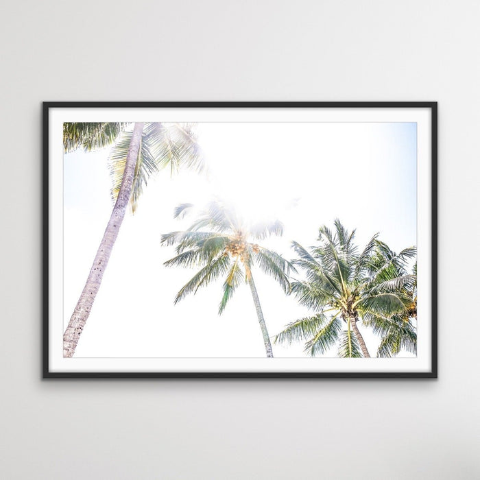 Daydream Island - Boho Palm Tropical Wall Art or Canvas Print