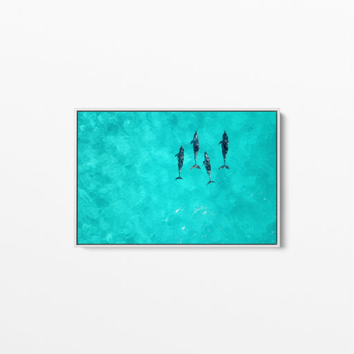 Dolphins - Beach Coastal Art Print Stretched Canvas Wall Art, Wall Art, Ozark Home 