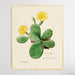 Eastern Prickly Pear cactus, Wall Art, Ozark Home 