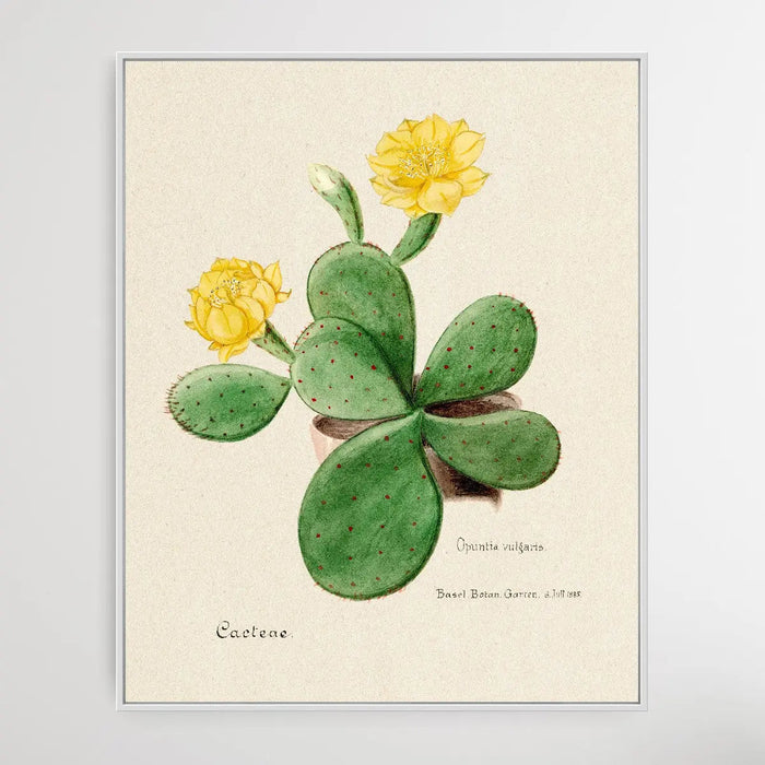 Eastern Prickly Pear cactus, Wall Art, Ozark Home 