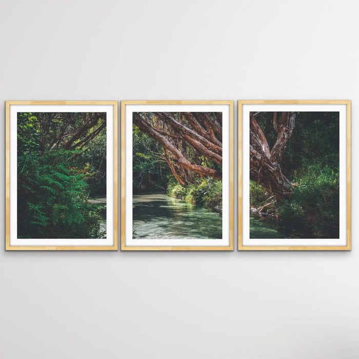 Eli Creek - Three Piece Australian Landscape (Fraser Island Queensland) Print Set, Wall Art, Ozark Home 