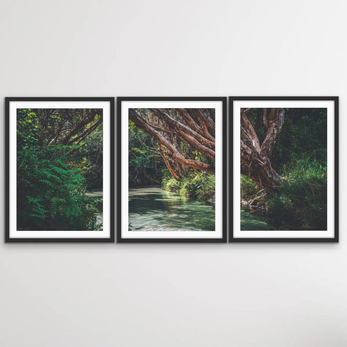 Eli Creek - Three Piece Australian Landscape (Fraser Island Queensland) Print Set, Wall Art, Ozark Home 