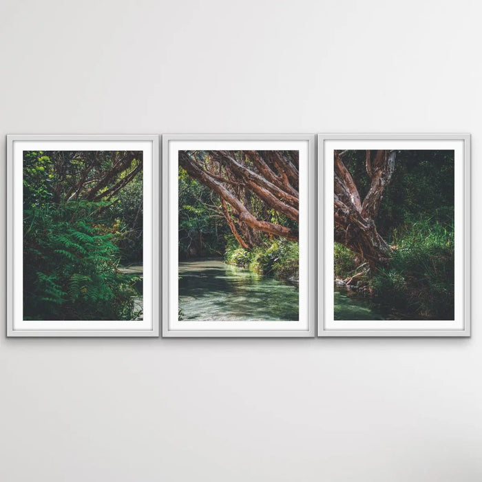 Eli Creek - Three Piece Australian Landscape (Fraser Island Queensland) Print Set, Wall Art, Ozark Home 