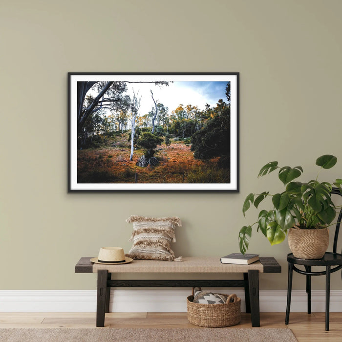 Entertwined - Australian Nature Photographic Print by Edie Fogarty, Wall Art, Ozark Home 