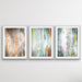 Eucalyptus Bark - Three Piece Eucalypts Bark Australian Native Print Set, Wall Art, Ozark Home 