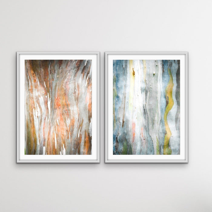 Eucalyptus Bark - Three Piece Eucalypts Bark Australian Native Print Set, Wall Art, Ozark Home 