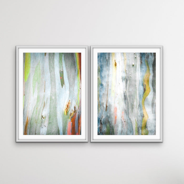 Eucalyptus Bark - Three Piece Eucalypts Bark Australian Native Print Set, Wall Art, Ozark Home 