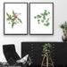 Eucalyptus Pair - Two Piece Eucalyptus Watercolour Stretched Canvas Framed Wall Art, Wall Art, Ozark Home 