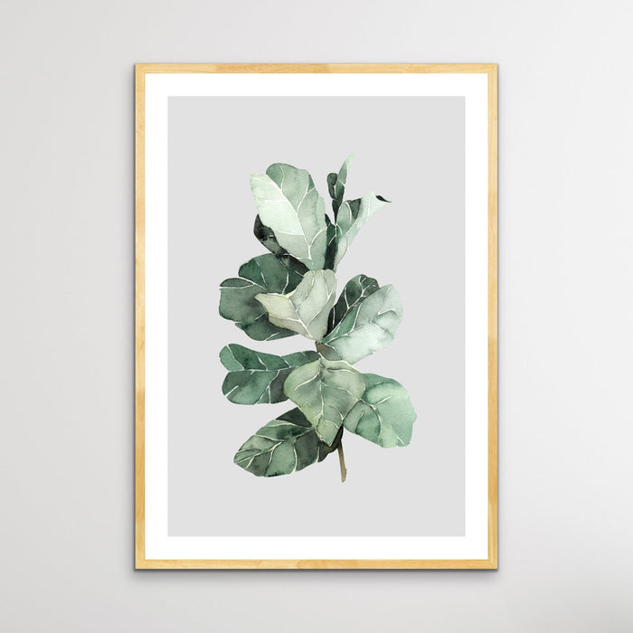 Fiddle Leaf Fig - Classic Foliage Print Set One