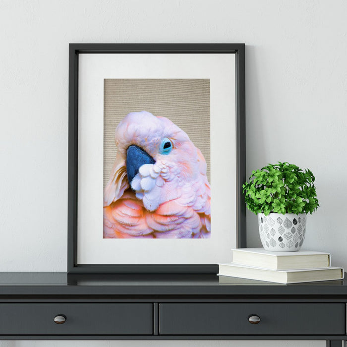 Flamin' Galah - Framed Art Print  Wall Art