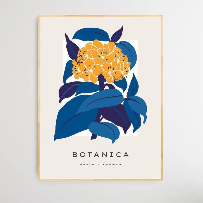 Floral Botanica Number 1 - Floral Poster Style Print Collection, Wall Art, Ozark Home 