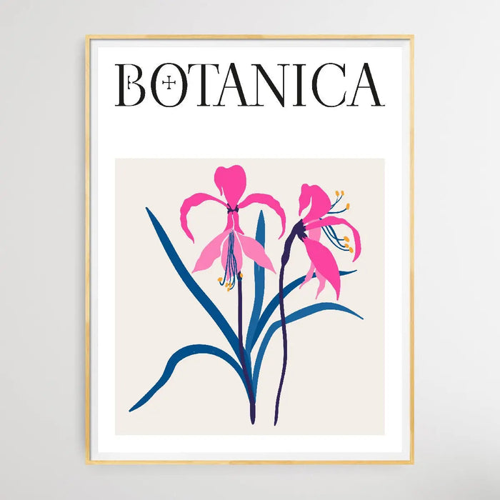 Floral Botanica Number 15 - Floral Poster Style Print Collection, Wall Art, Ozark Home 