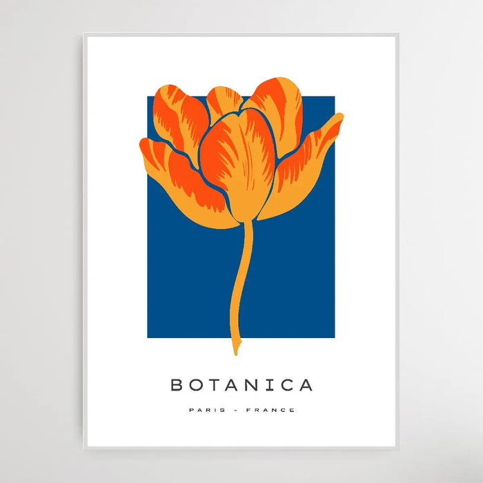 Floral Botanica Number 18 - Floral Poster Style Print Collection, Wall Art, Ozark Home 