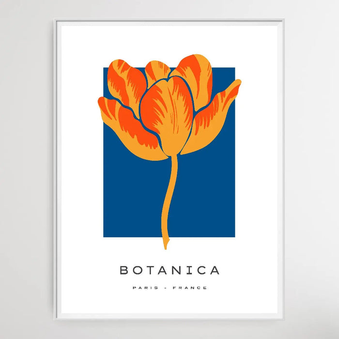 Floral Botanica Number 18 - Floral Poster Style Print Collection, Wall Art, Ozark Home 